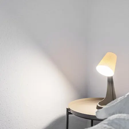 Seeblick 1908 Bregenz