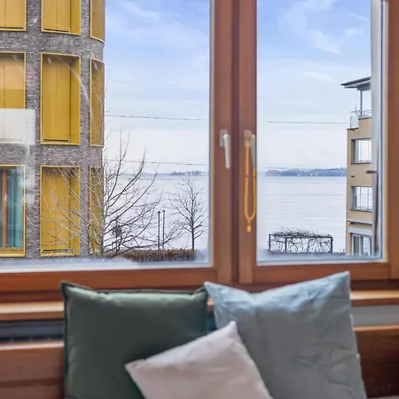 Seeblick 1908 Bregenz