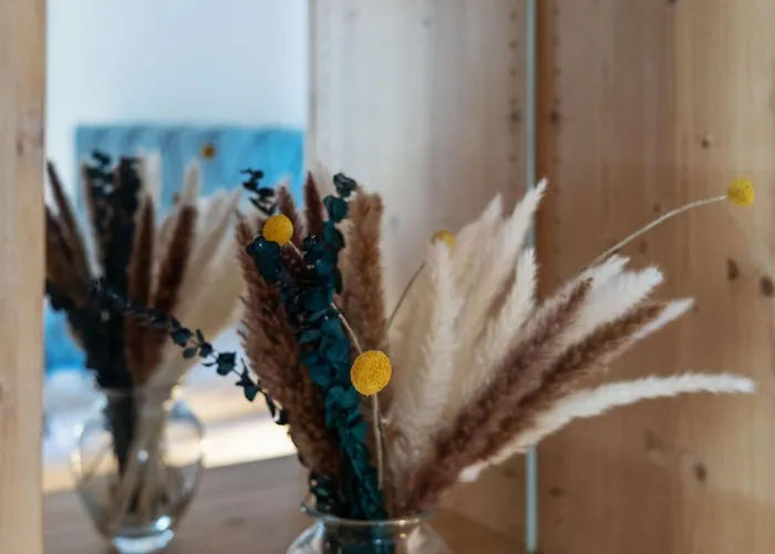 Seeblick 1908 Daire Bregenz